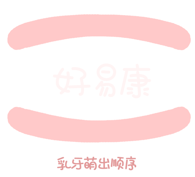 尚佳專業(yè)月嫂丨關(guān)于寶寶長牙問題，都在這里！